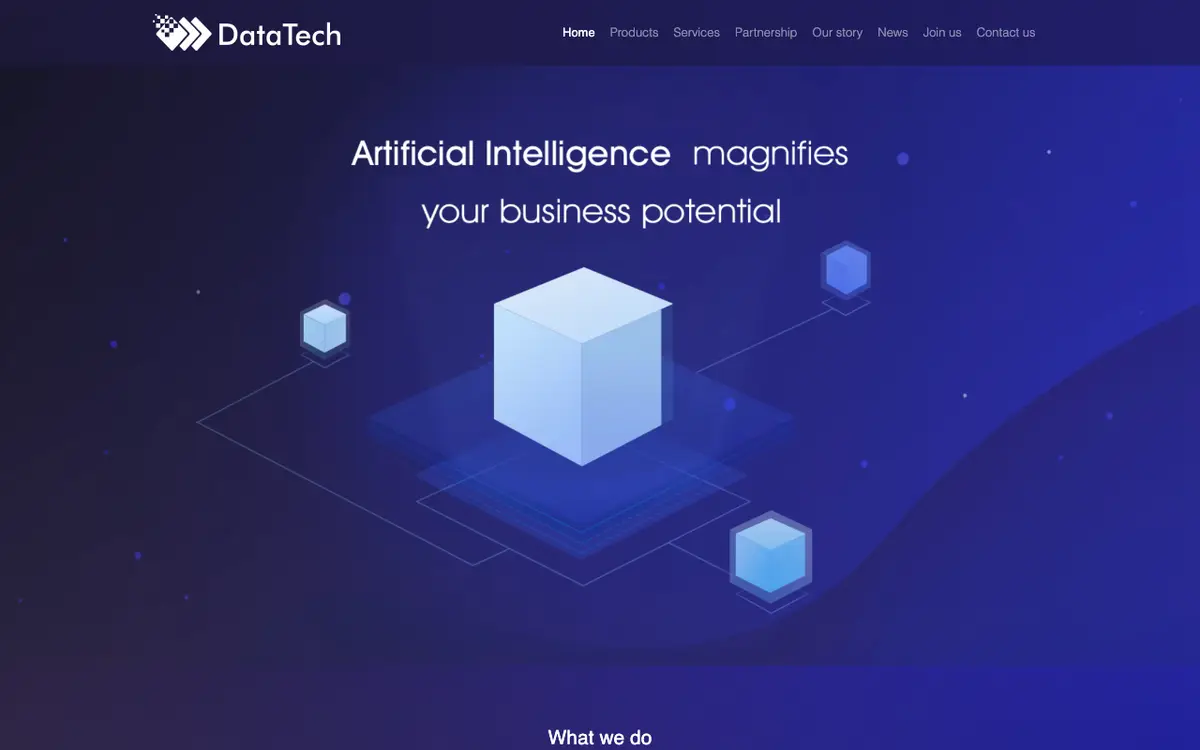 DataTech.ai website