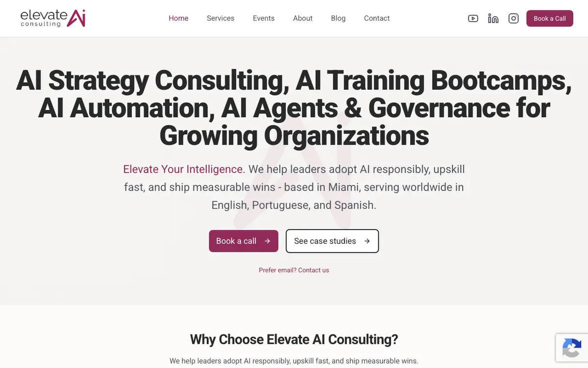 Elevate AI Consulting website