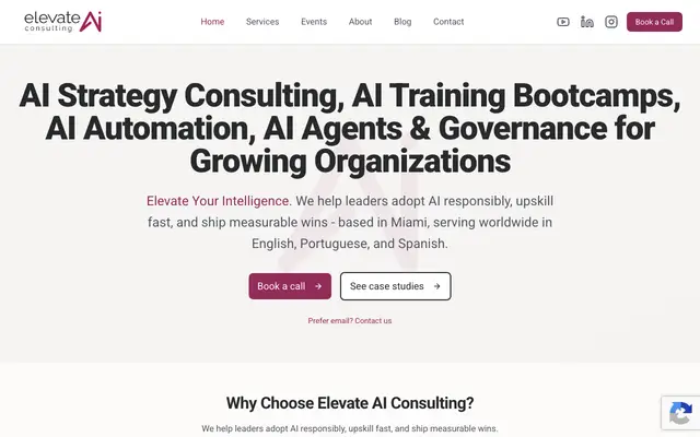 Elevate AI Consulting website