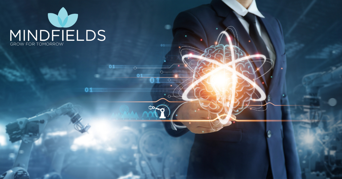 Mindfields Consulting logo