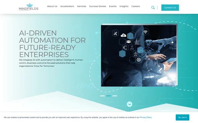 Mindfields Consulting website
