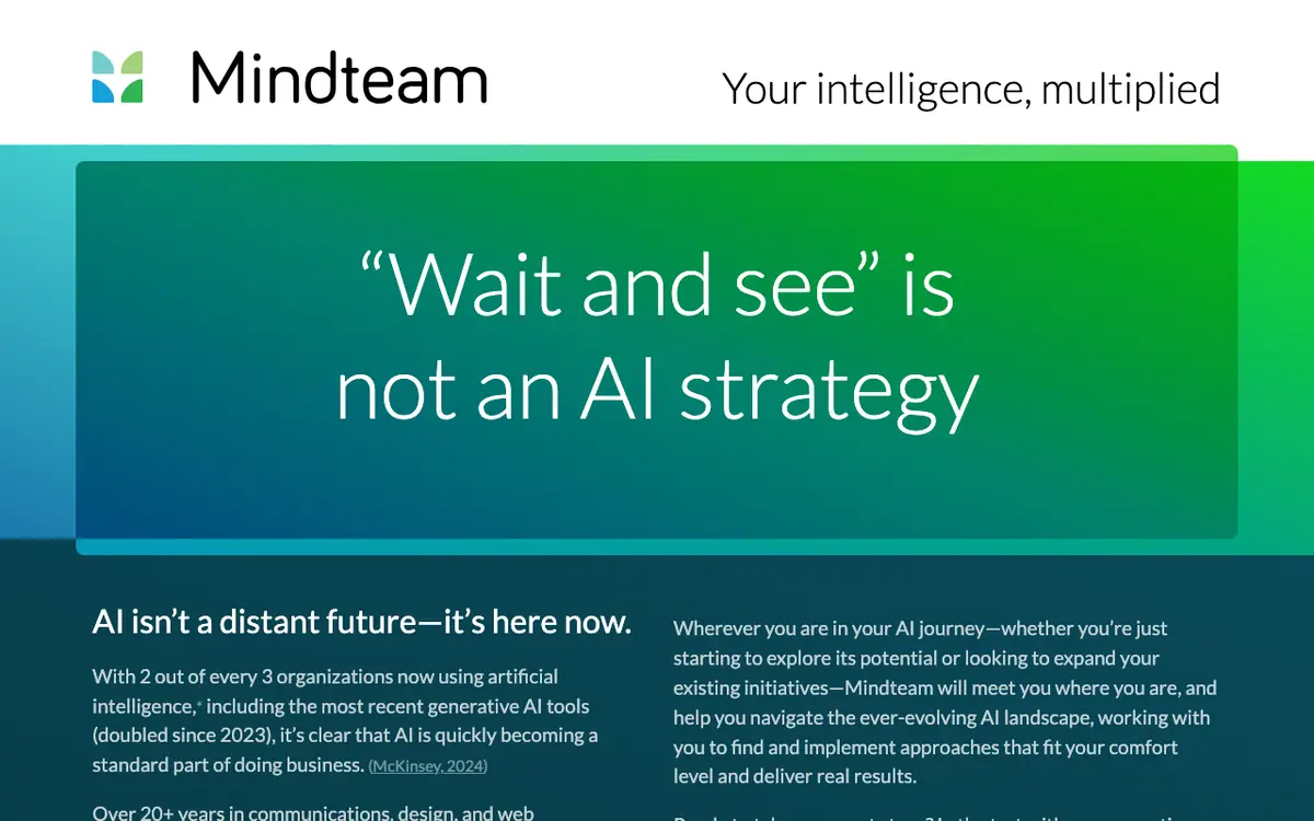 Mindteam website