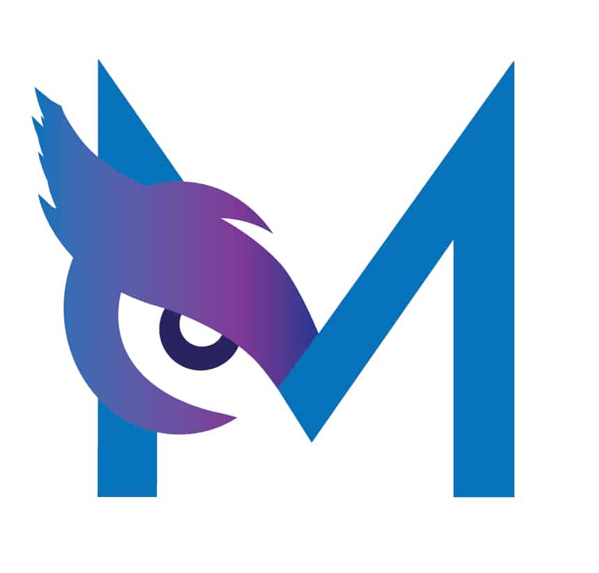 Minerva Consulting Inc logo