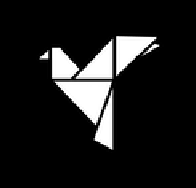 NAITIVE logo
