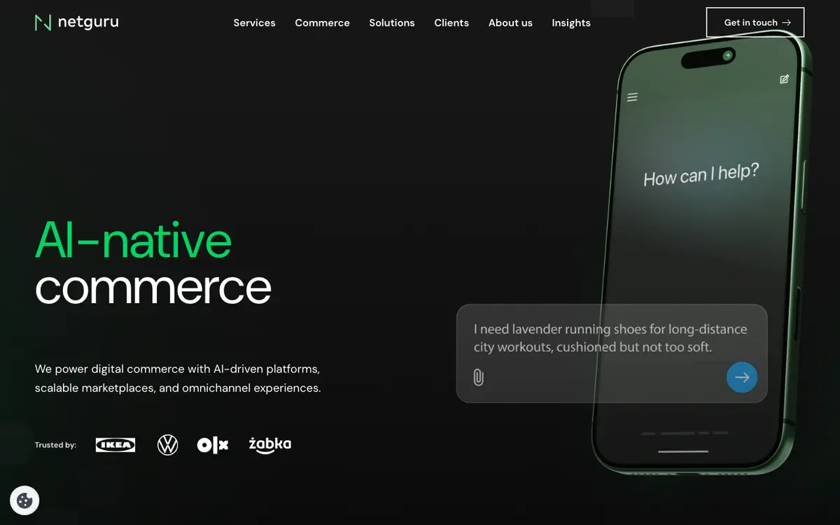 Netguru website