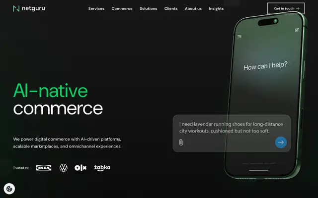 Netguru website