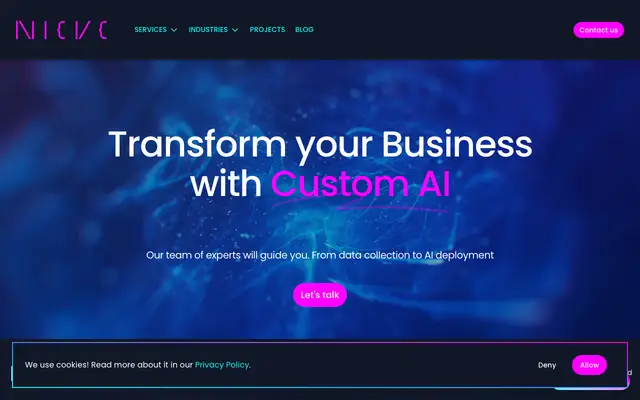 Nieve Consulting website