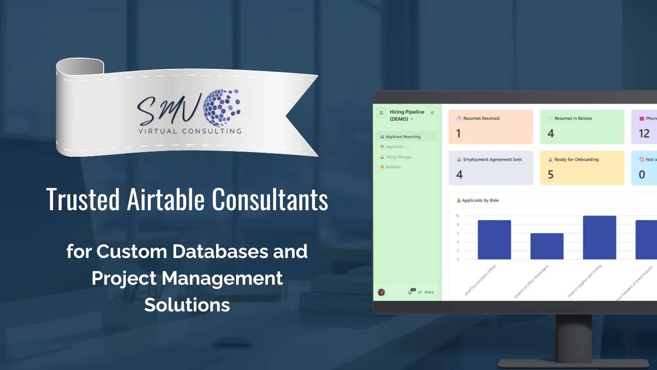 SMV Virtual Consulting logo