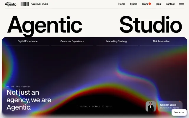 The Agentic website
