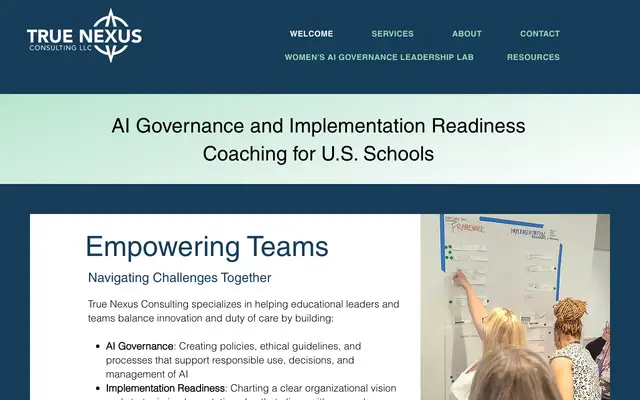 True Nexus Consulting LLC website